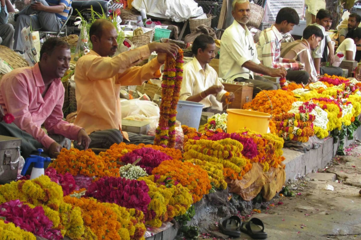 Razones para visitar India