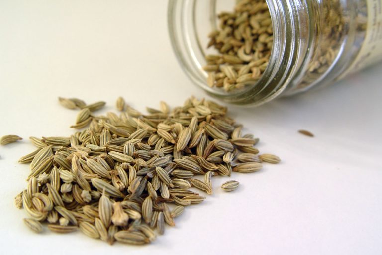 El hinojo en el Ayurveda y sus propiedades