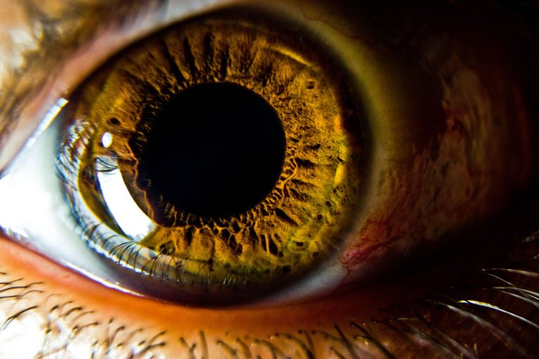 El diagnóstico ayurvédico