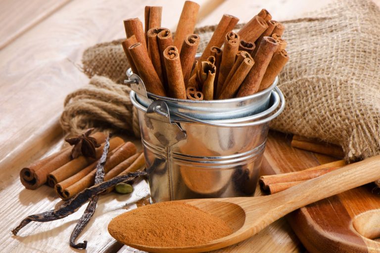 La canela en el Ayurveda