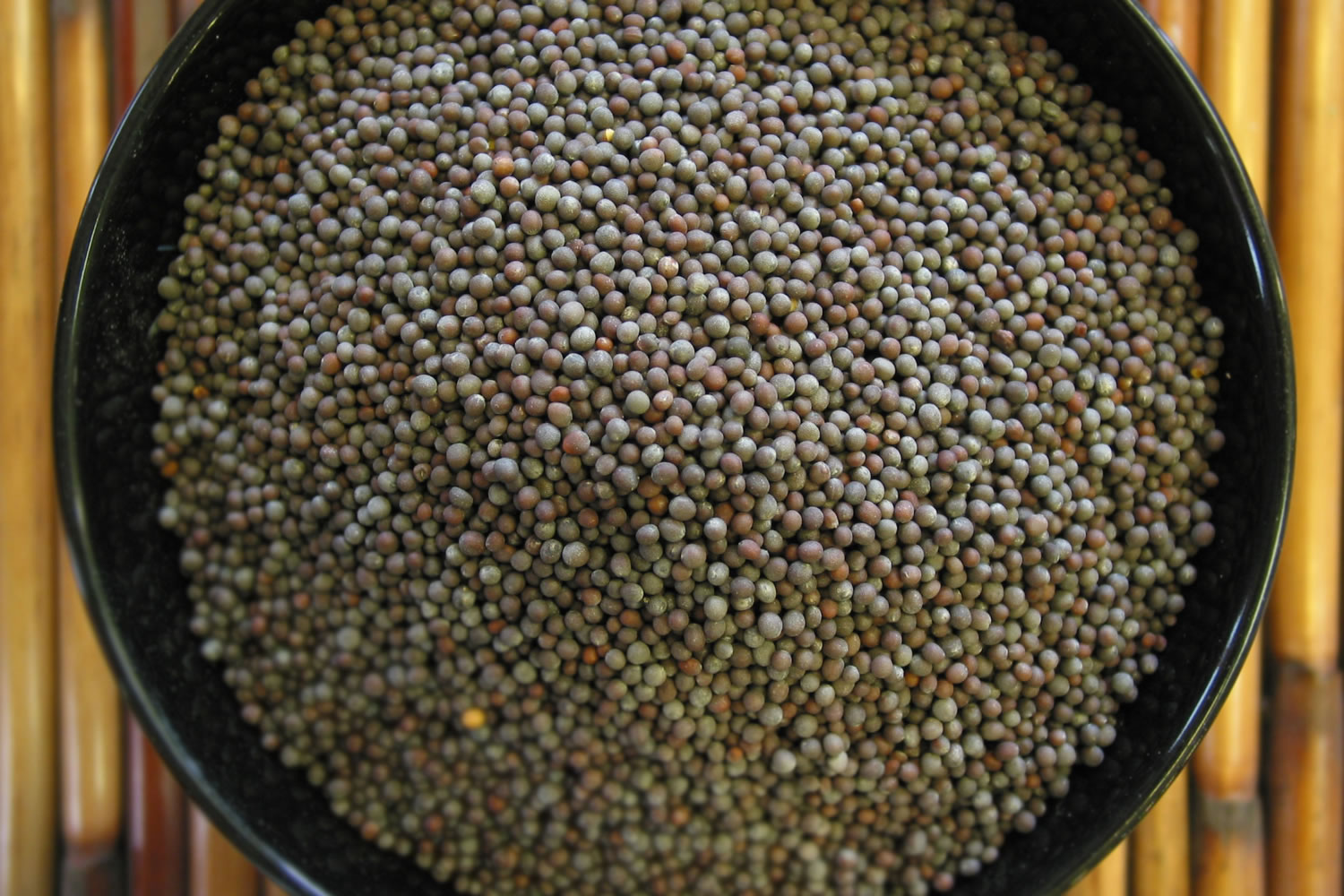 Mostaza Aceite De Mostaza Y Ayurveda IndiaM gica Mostaza Aceite De Mostaza Y Ayurveda IndiaM gica