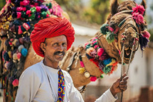 excursiones en camello