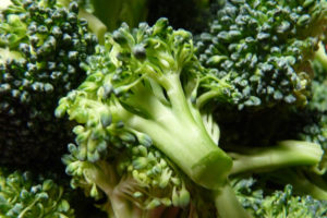 brócoli en el ayurveda