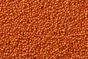 lentejas en el Ayurveda