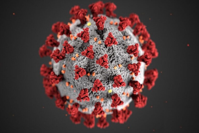 Ayurveda para prevenir el Coronavirus